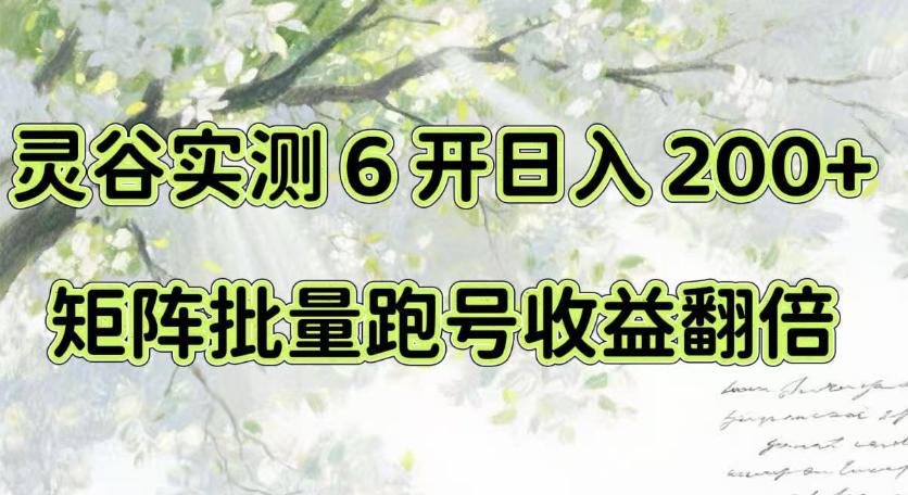 一台电脑就能做！灵谷实测6开日入200+，矩阵批量跑号收益翻倍【揭秘】-创学资源站