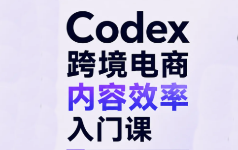 Codex跨境电商内容效率入门课-创学资源站
