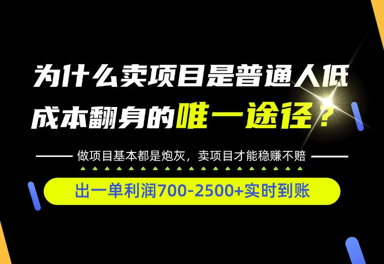普通人如何靠互联网賺取自己的第一桶金!全类目实操型教学,看完你全都懂了!【揭秘】-创学资源站